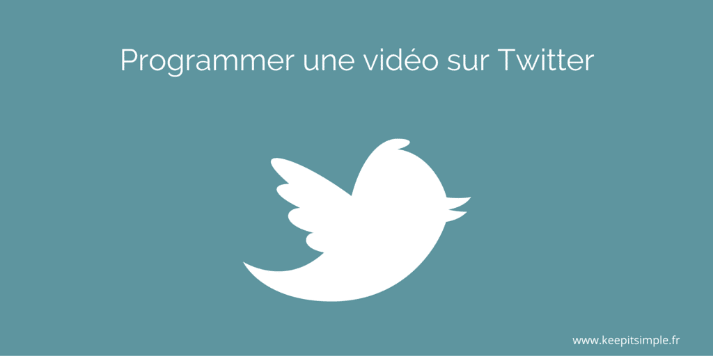 programmer-tweet-video