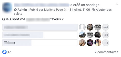 Exemple de sondage réalisé dans un groupe Facebook 