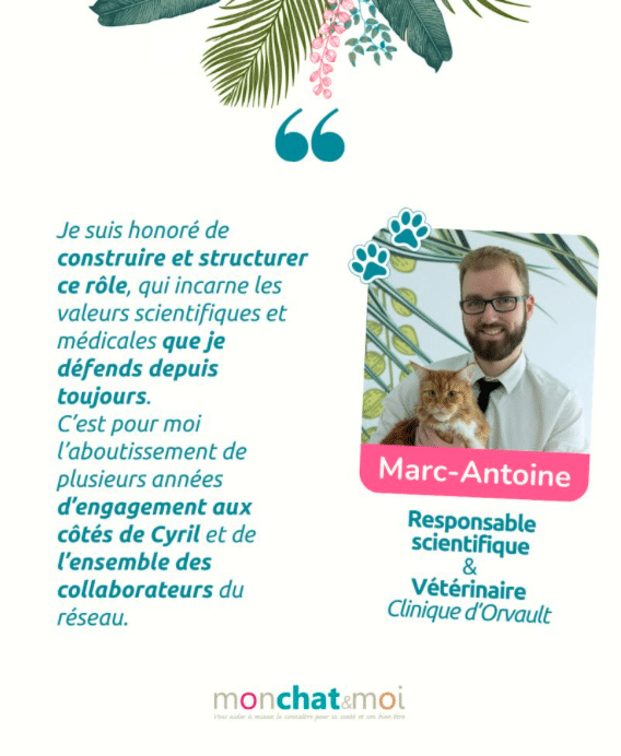 Exemple Publication Marque Employeur Portrait MCM
