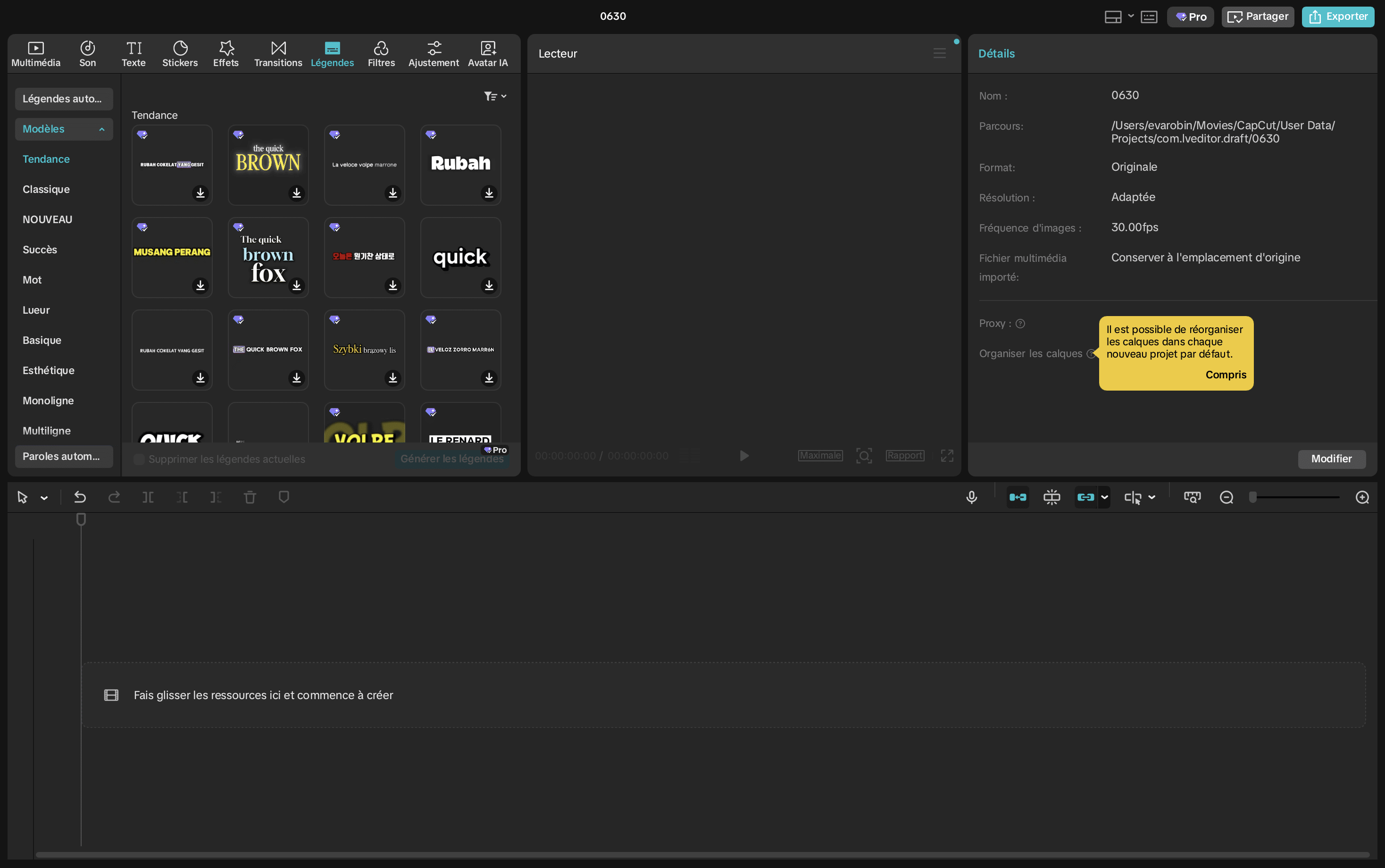 Interface pour le sous-titrage de Capcut Interface pour le sous-titrage de Capcut